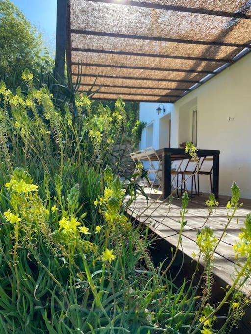 La Maison De Juliette Céret Extérieur photo